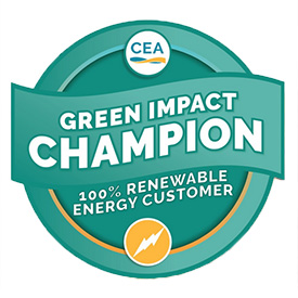 100% Renewable Energy Green Impact Champion