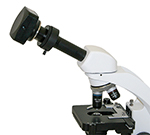 Camera Mounted Over Microscope Eyepiece