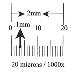 Ruler reticle