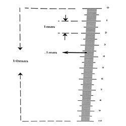 Ruler reticle