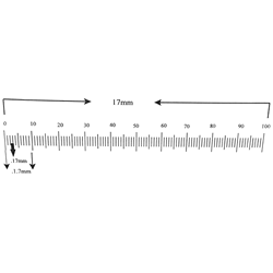 Ruler reticle