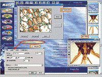 motic image plus 2.0 software