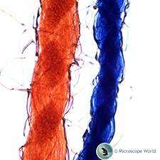 Colored Threads under the Microscope Colored Threads under the Microscope