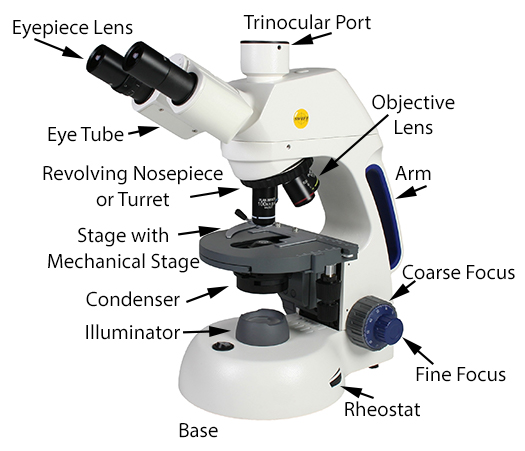 Swift Microscope Parts Swift Microscope Parts