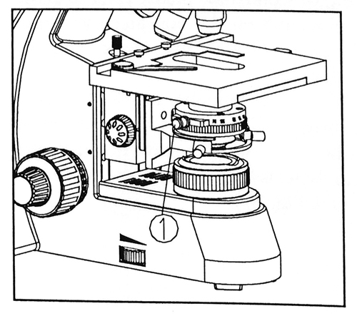 Microscope darkfield slider illustration.